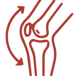 collagen-3