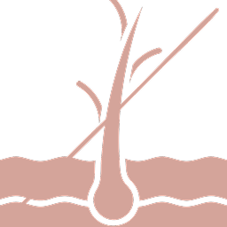 dessata-2